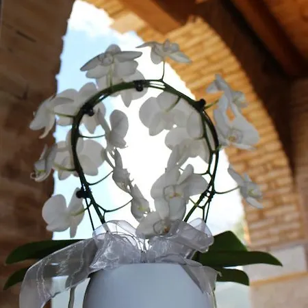 Giardino Degli Ulivi Apartman